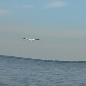 Meet your Posher, Cynthia